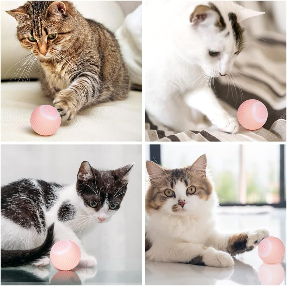 PetParadise™ Magic Ball