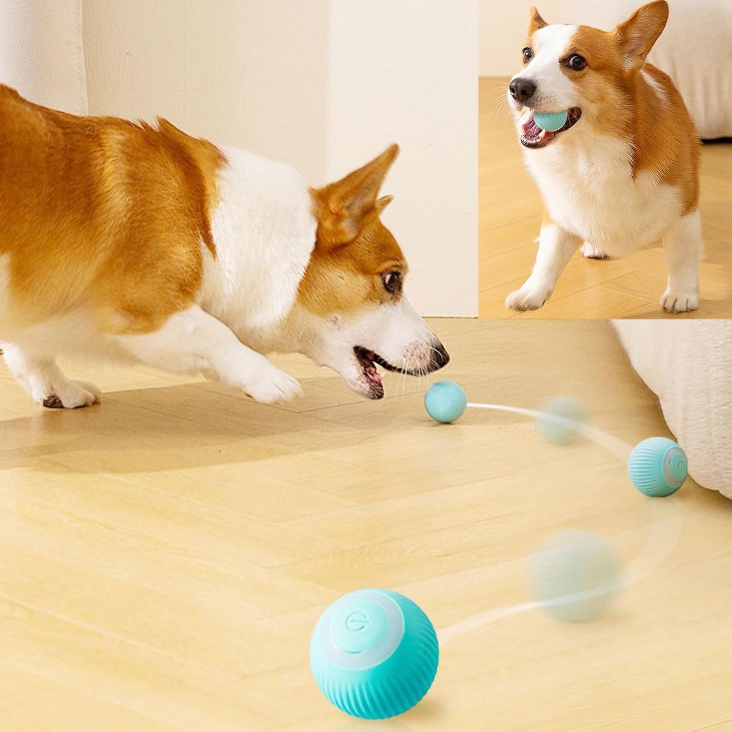 PetParadise™ Magic Ball