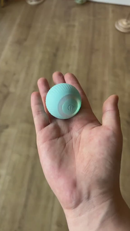 PetParadise™ Magic Ball